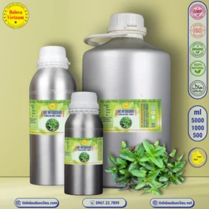 Tinh Dầu Bạc Hà Socola - Socola Mint Essential Oil 3 tinh dau bac ha socola bac ha chocolate – socola mint chocolate mint essential oil 2