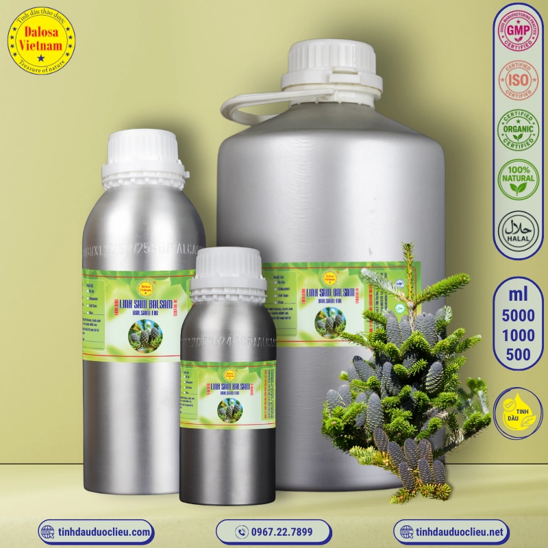 Tinh Dầu Nhựa Thơm Lãnh Sam - Fir Balsam Essential Oil 2 tinh dau linh sam balsam nhua thom lanh sam nhua thom linh sam balsam fir balsam balsam fir abies balsamea essential oil 2