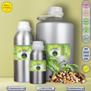 tinh dau long nao da huong ra huong camphor ho cinnamonum camphors essential oil 2