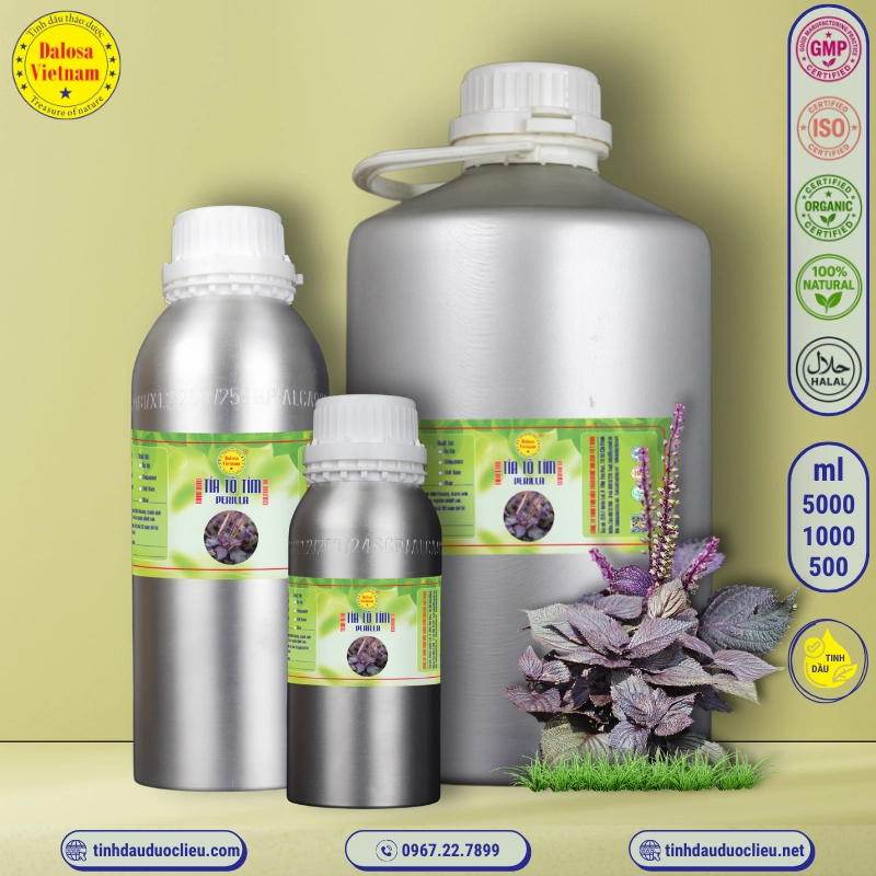 Tinh Dầu Tía Tô Tím - Perilla Essential Oil 2 tinh dau tia to tim perilla perilla frutescens essential oil 2