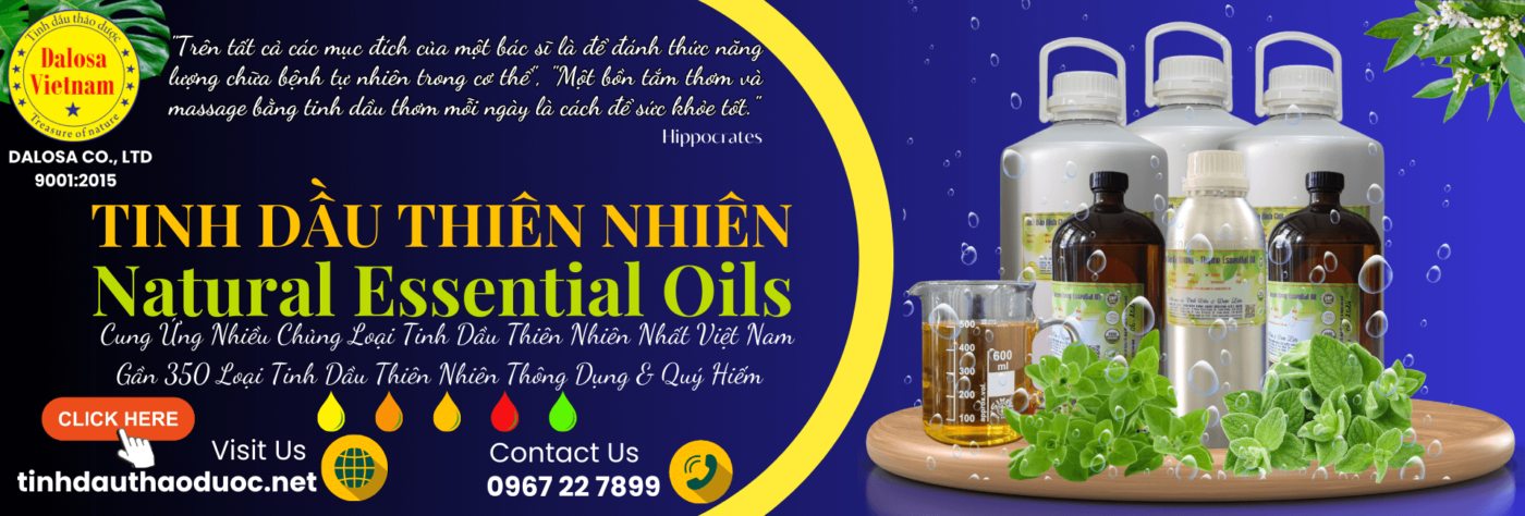 Dalosa Vietnam | Tinh DầuThiên Nhiên, Dầu Nền Thực Vật, Dược Liệu 2 tinh dầu thiên nhiên Dalosa Việt Nam
