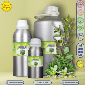 tinh dau huong nhu tia ocimum sanctum ocimum tenuiflorum ocimum sanxctum holy basil sacred basil tulsi ocimum tenuiflorum essential oil 2
